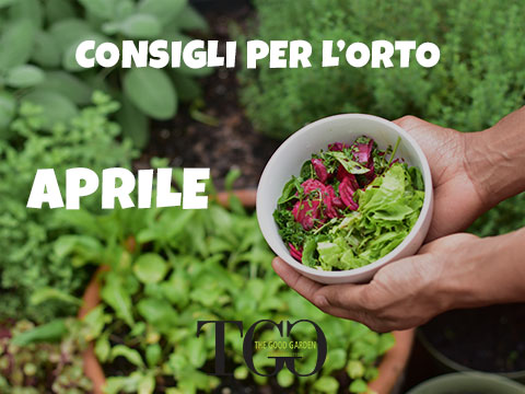 Permessi e autorizzazioni per costruire una casetta in legno da giardino